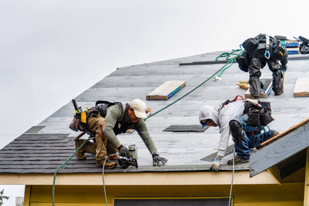 Professional Storm Damage Roof Repair technician working in McMechen, WV